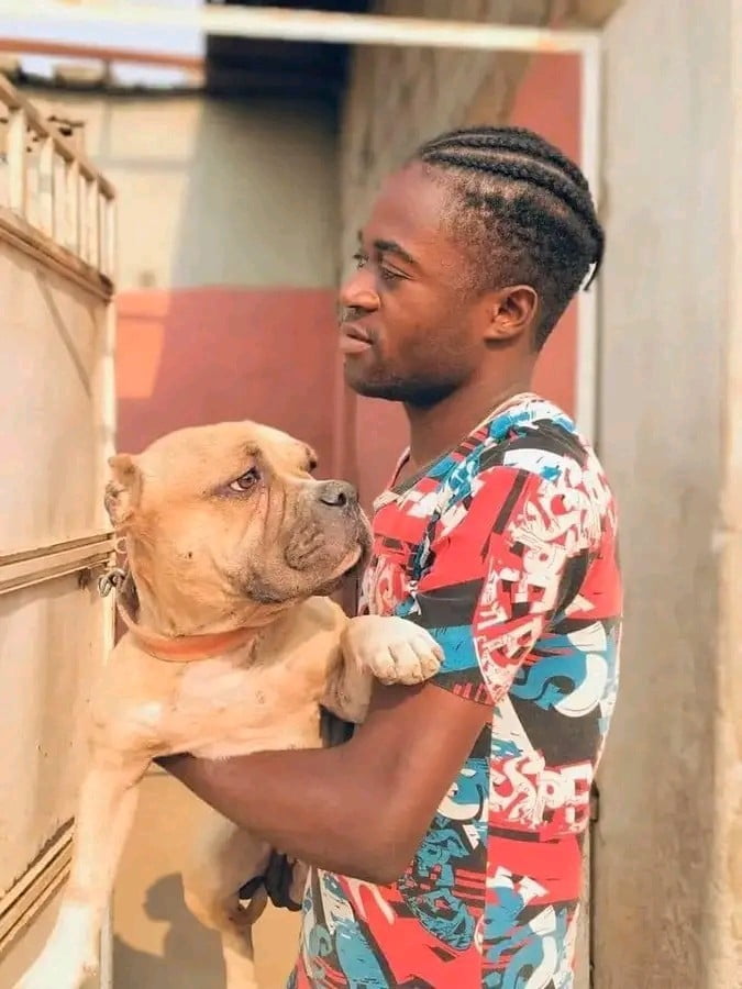 Negócio de cães fez jovem ser assassinado barbaramente pelo amigo