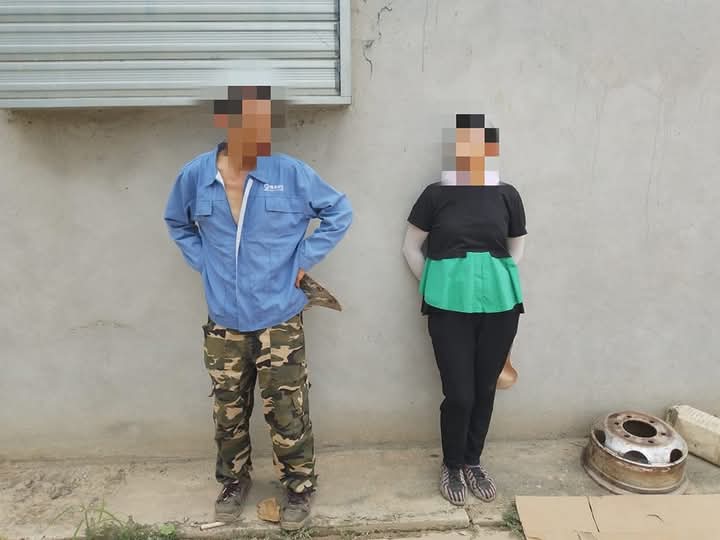 Detido casal de chineses que produzia óleo num aviário de forma imprópria